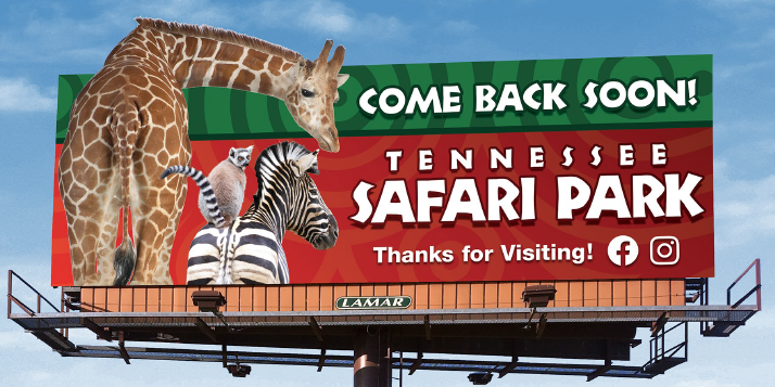 Safari Park come back soon